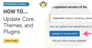 Image of the wordpress site update and text that reads: How to Update Core, Themes, and Plugins